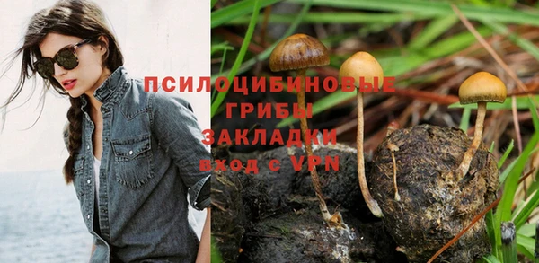 прущая мука Краснослободск