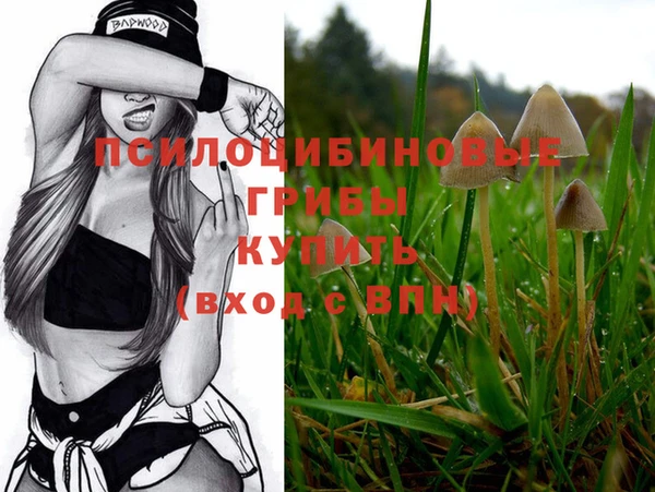 ALPHA-PVP Краснотурьинск
