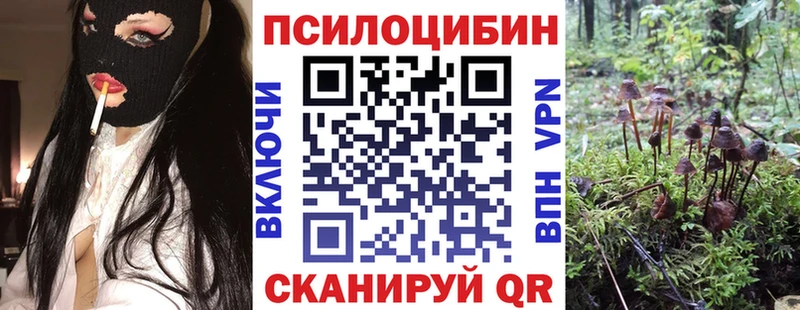 Купить  Можайск  Псилоцибиновые грибы мицелий 